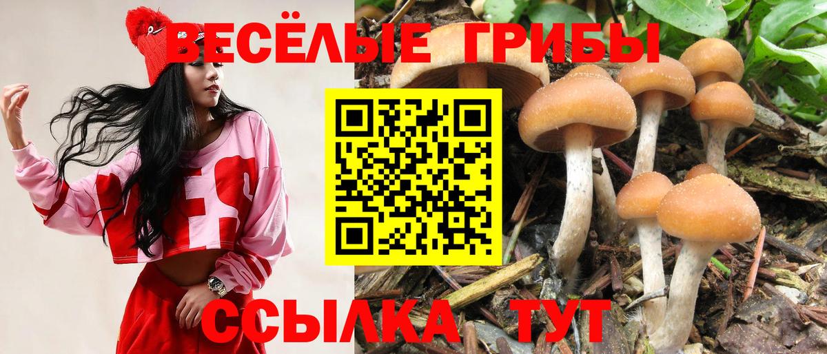 Псилоцибиновые грибы прущие грибы Солнечногорск