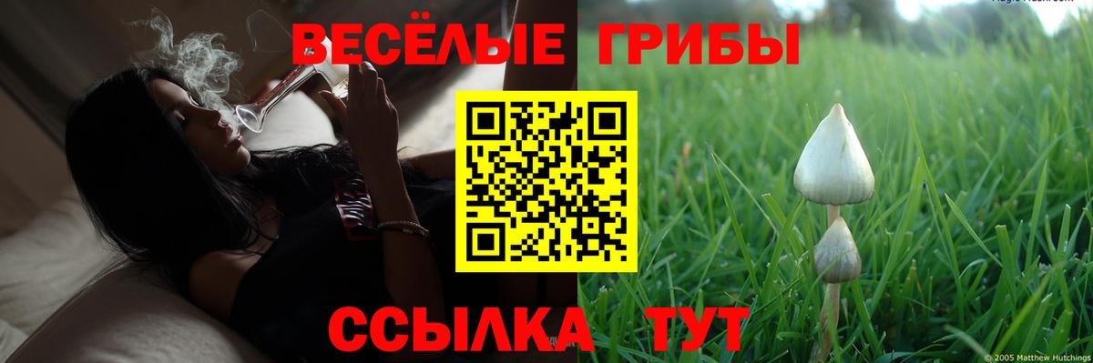 Псилоцибиновые грибы GOLDEN TEACHER  Вход с VPN  Солнечногорск 